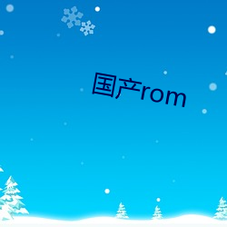 国产rom