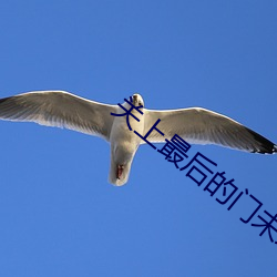 关上(shàng)最(zuì)后的门(mén)未增删樱(yīng)花翻