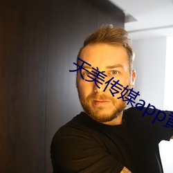 天美传媒app黄版入口