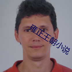 雍正(正)王朝(朝)小说(說)
