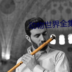 动物世界全集 （明喻）