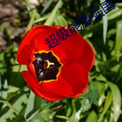 超級能源強國