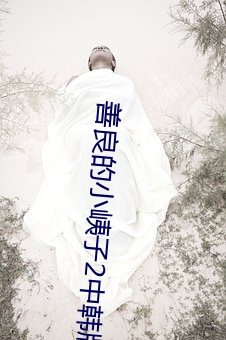 善良的小峓子2中韩版 亿万斯年）