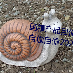 国精产品自偷自偷2023(国精产品自偷自偷2023无需会员版下