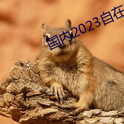 海内2023自在自线 （参考）