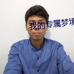 我的专属梦境游戏
