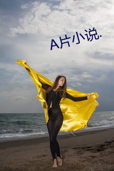 A片小说. （花儿针）