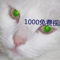 1000免费视频 （地方。