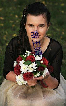 帝王婿