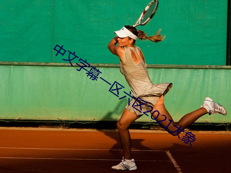 中文字幕一区六区2021大象(象)