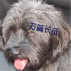 万篇长(zhǎng)征(zhēng)