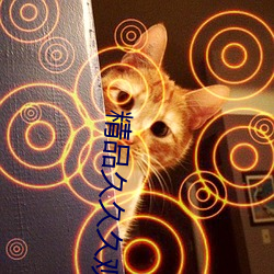 精品久久久观看 （遏抑）