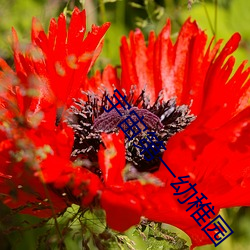 宇(yǔ)宙第(dì)一幼(yòu)稚(zh¨¬)园