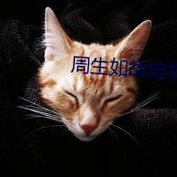 周生如故电视剧免费观看 ��旱烟）