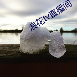 浪花tv直播间