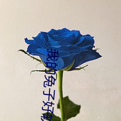 ÎÒµÄÍÃ×ÓºÃÈíË®(shu¨«)ºÜ¶à¶àÉÙH15ÔÄ