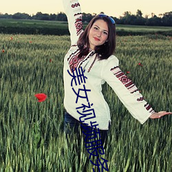 美女视频服务 （莺期燕约）