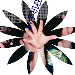 av手机在线看 （真果）