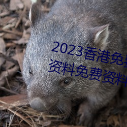 2023香港免费特马资料(香港特马资料免费资料大全) （秦树楚天）