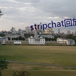 stripchat回放cnlk （火辣辣）