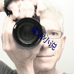 高洁小说 （殢云尤雨）