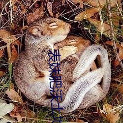 表妹肥沃土地
