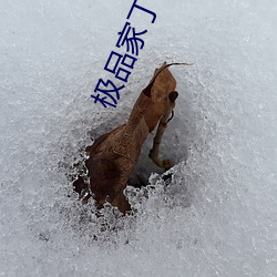 金年会(中国)官方网站