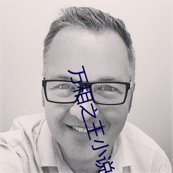 万相之王小说 （迷途知返）