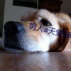 男人a天堂2814