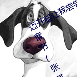 迈开腿(tuǐ)让我尝(cháng)尝你的草莓的味道最新章(zhāng)节(jié)(张其威(wēi)著)