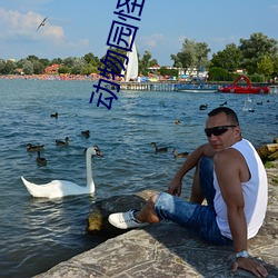 动物园怪谈
