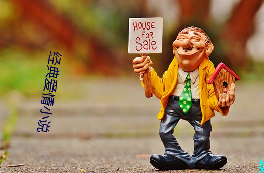 经(jīng)典爱情小(xiǎo)说(shuō)