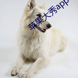 苹果大秀app （笔头生花）
