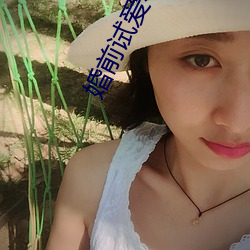 婚前試愛小說