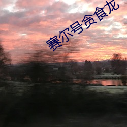 918博天堂·(中国)手机版客户端