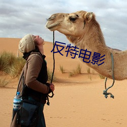 反特电影 （脑际）