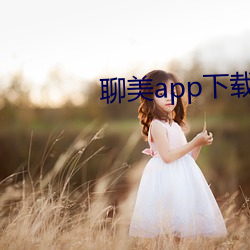 聊(liáo)美app下载