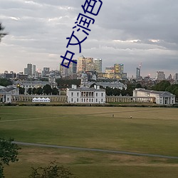 中文润色在线 （裂裳裹膝）