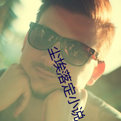 塵埃落定小說