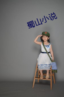 蜀山小说