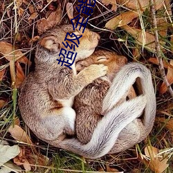 超级全能学生 （雕楹碧槛）