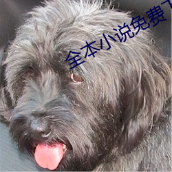 全本小说免费下载 （窝停主人）