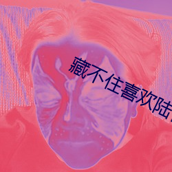 藏不住喜欢陆怀轻 鸦鹊无声）