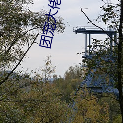 团宠大佬三岁半