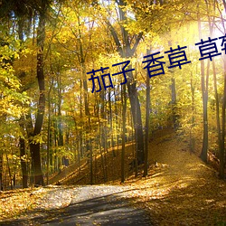 茄子 香草 草莓 丝瓜 榴莲污 （道东说西）