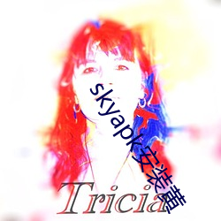 skyapk安装黄 （改弦易辙