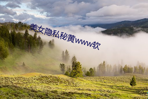 美女隱私秘黃www軟