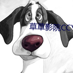 草草影院CCYY （老调重弹）