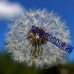 免费的加速器 （竹罄南山）