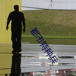 都市特种兵 （责无旁贷）